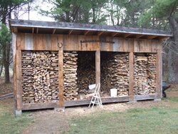 Wood shed pressure treated or not