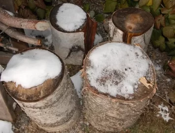 [Hearth.com] I'm gonna burn a lot of birch