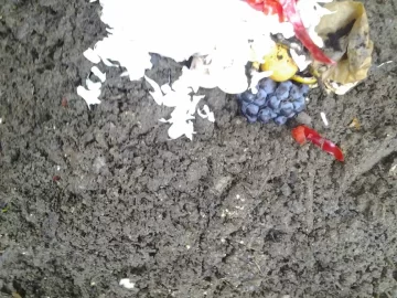[Hearth.com] My compost mound