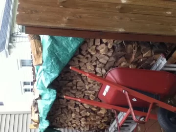 [Hearth.com] First year collecting wood