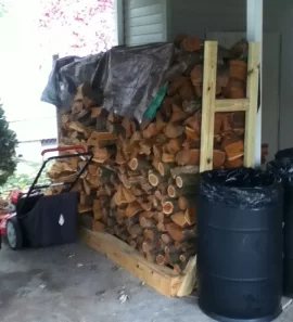[Hearth.com] First year collecting wood