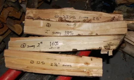 [Hearth.com] I'm gonna burn a lot of birch