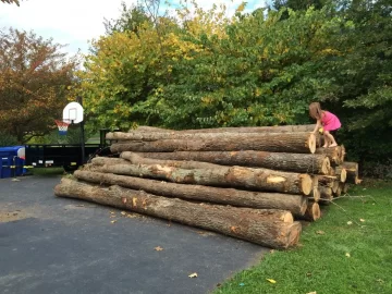 [Hearth.com] Log Length load volumn ?