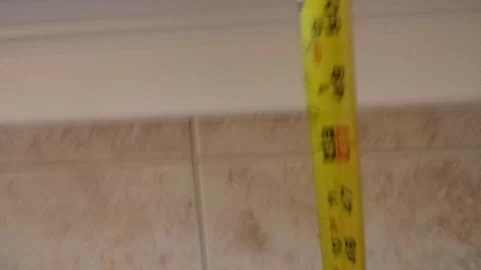 [Hearth.com] Pellet Insert into an Electric Fierplace