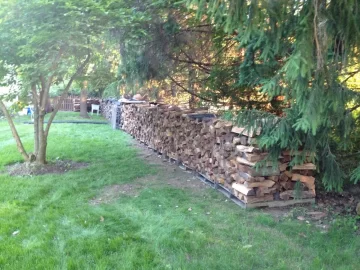 [Hearth.com] Is this a cord of wood?
