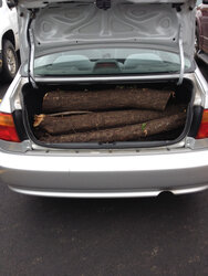 wood in car trunk.jpg