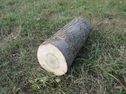 Just got a load of logs delivered...but what are they?