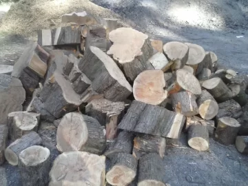 [Hearth.com] Cypress? id