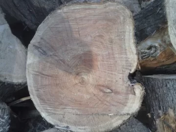 [Hearth.com] Cypress? id