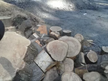 [Hearth.com] Cypress? id