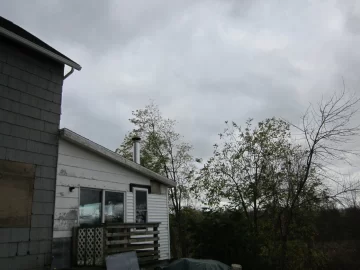 [Hearth.com] Where do we go from here?  Wood stove or propane fireplace???