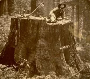 [Hearth.com] Tomorrow morning, I am going to destroy a gnarly stump that has been giving me grief for a year.