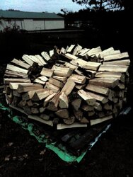 My first holz hausen wood stack