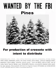 [Hearth.com] Your Burning Pine?