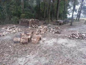 [Hearth.com] standing dead and downed score from neighbor