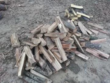 [Hearth.com] standing dead and downed score from neighbor