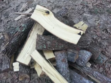 [Hearth.com] standing dead and downed score from neighbor