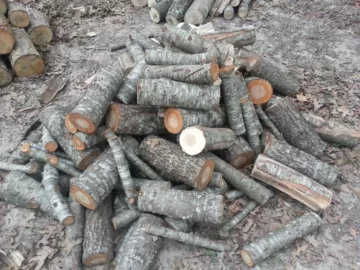 [Hearth.com] standing dead and downed score from neighbor