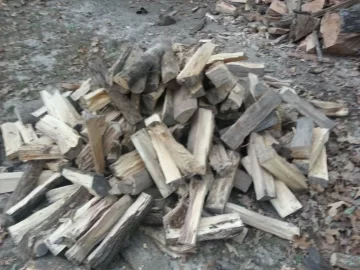 [Hearth.com] standing dead and downed score from neighbor