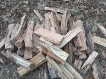 [Hearth.com] standing dead and downed score from neighbor