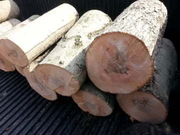 [Hearth.com] Help needed identifying this wood.