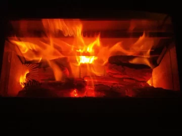[Hearth.com] New Guy; forced into burning for primary heat.