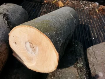[Hearth.com] Help needed identifying this wood.