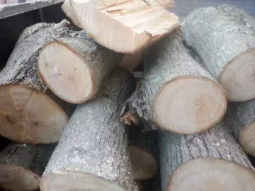 [Hearth.com] Help needed identifying this wood.