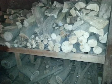 [Hearth.com] score! wood id help?