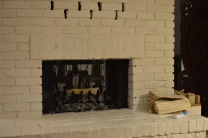 [Hearth.com] given up on double-sided insert; looking for fireplace door advice