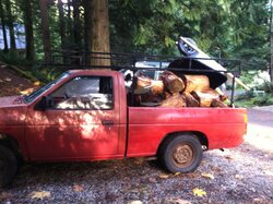 Truck with wood.jpg