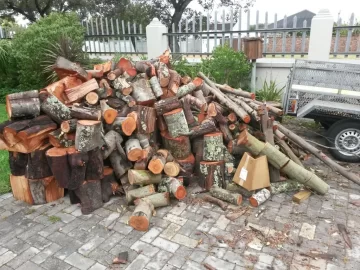 [Hearth.com] Last day working with the tree feller