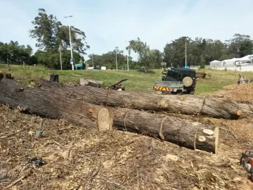 [Hearth.com] Last day working with the tree feller