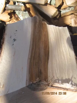 [Hearth.com] please help with wood id