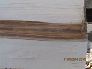 [Hearth.com] please help with wood id