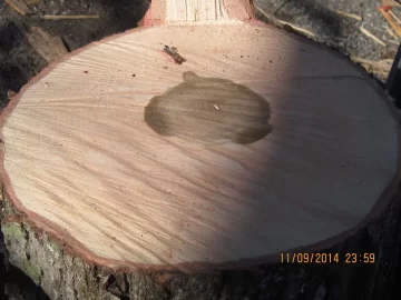 [Hearth.com] please help with wood id