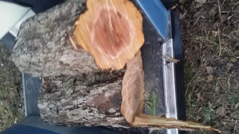 [Hearth.com] Please help with wood id