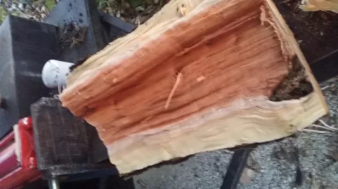 [Hearth.com] Please help with wood id