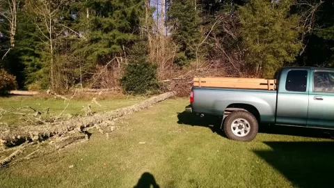 [Hearth.com] I'm gonna burn a lot of birch