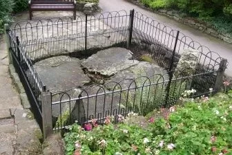 [Hearth.com] Tomorrow morning, I am going to destroy a gnarly stump that has been giving me grief for a year.