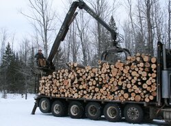 Truck load of logs
