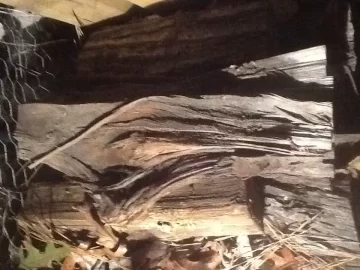 [Hearth.com] Help with wood ID