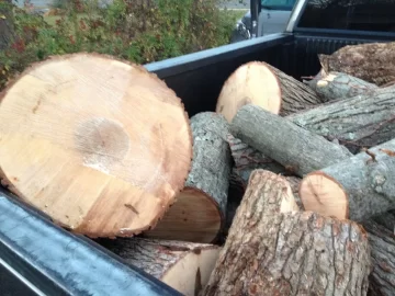 [Hearth.com] Wood I'd please