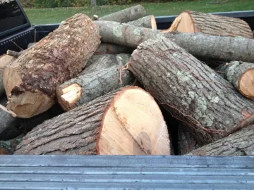 [Hearth.com] Wood I'd please