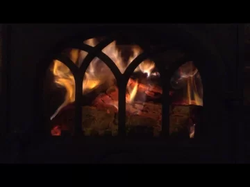 [Hearth.com] Advice on burning Oak?
