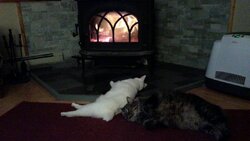 Re: warm hearth on a cold night