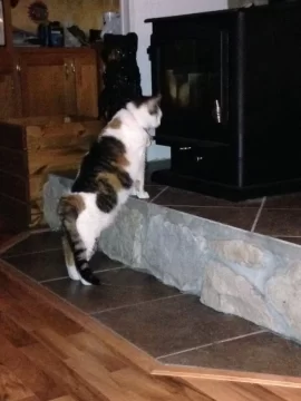 [Hearth.com] Fireplace ignorance