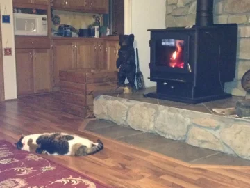 [Hearth.com] Fireplace ignorance