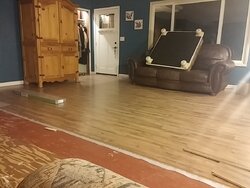 Flooring and big dogs