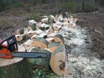 [Hearth.com] I love cutting wood....